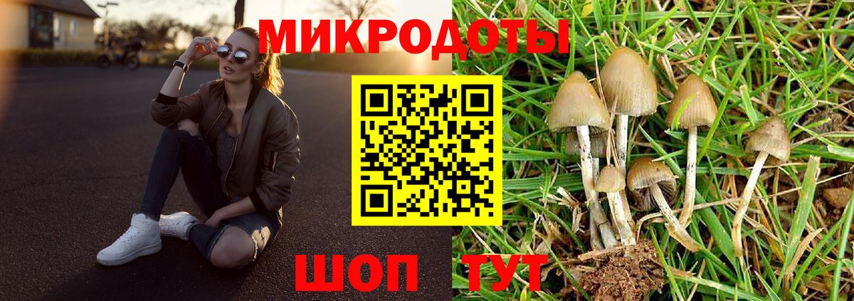 Галлюциногенные грибы ЛСД  Вход с VPN  сколько стоит  Краснодар  Псилоцибиновые грибы Psilocybe 