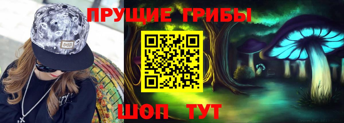 Псилоцибиновые грибы GOLDEN TEACHER Краснодар
